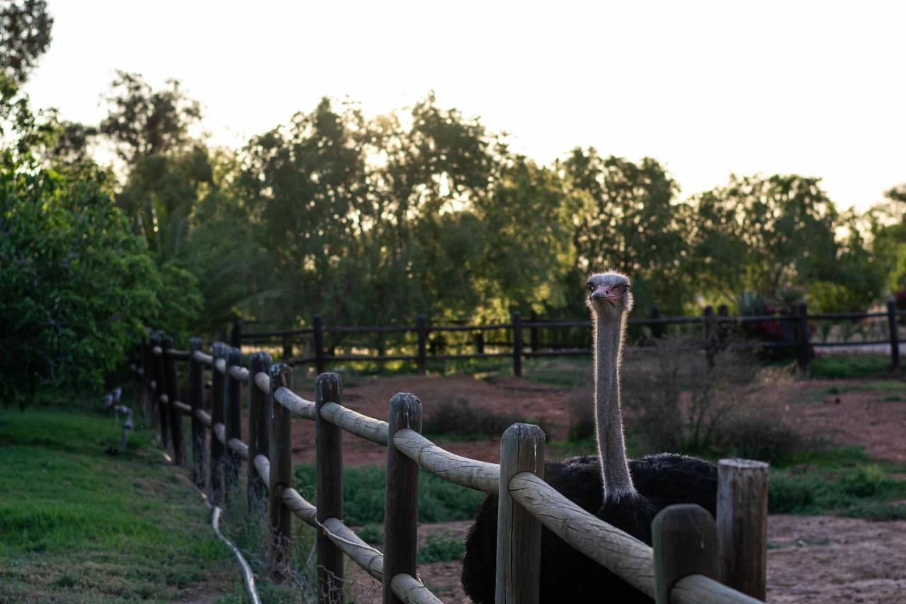 Mooiplaas Guesthouse Oudtshoorn Luaran gambar